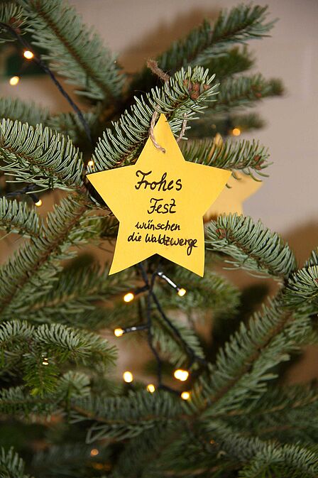 Gelber Papierstern hängt an einen Tannebaum mit der Aufschrift Frohes Fest wünschen die Waldzwerge